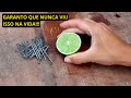 USE 10 PREGOS E UMA BANDA DE LIMÃO PARA AS GALINHAS (O resultado é inacreditável)