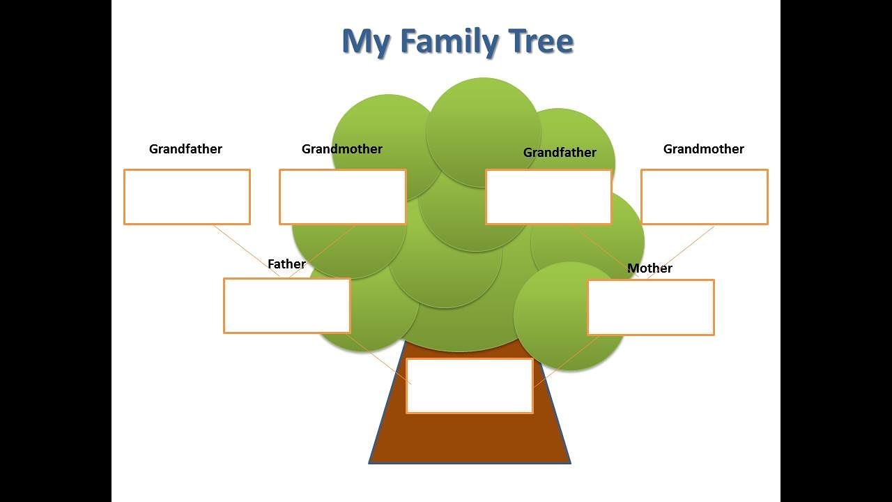 Английский язык дерево проект. Проект my Family Tree. Проект по английскому семейное дерево. Дерево my Family Tree. Проект семейное дерево анг.