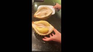 Yummy Ri6 Durian