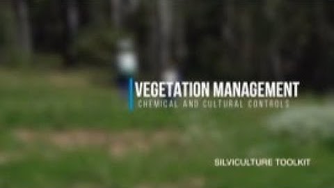 Silviculture Toolkit - CHEMICAL AND CULTURAL CONTROLS