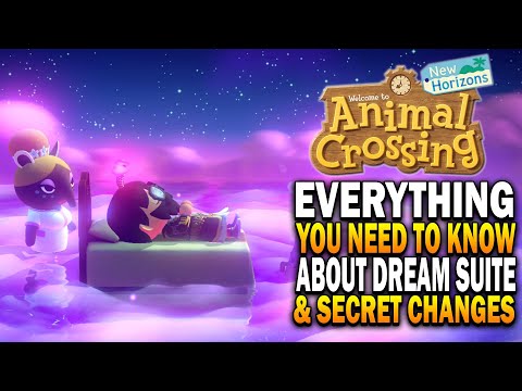 Everything You Need To Know About The Dream Suite & Secret Changes! Animal Crossing New Horizons