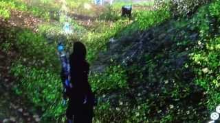 Assassin's Creed 3: Pivot Kappa Location