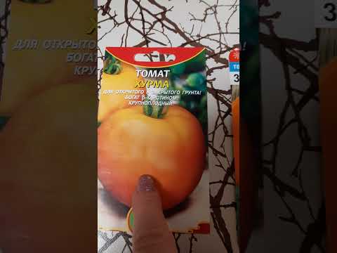 самые лучшие сорта жёлтых томатов!