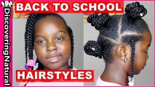 3 Back To School Hairstyles 2017  : Twists Natural  Hair Styles screenshot 4