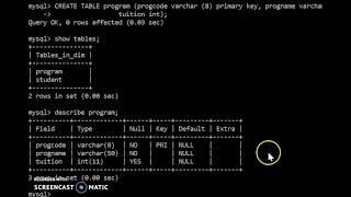 Lecture 10 Data Manipulation Language practical - Part 2