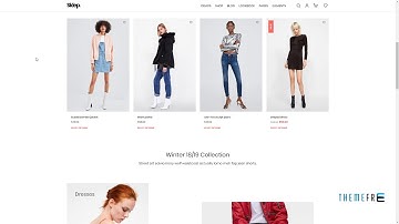 Sklep - WooCommerce WordPress Theme      Dannie Frank