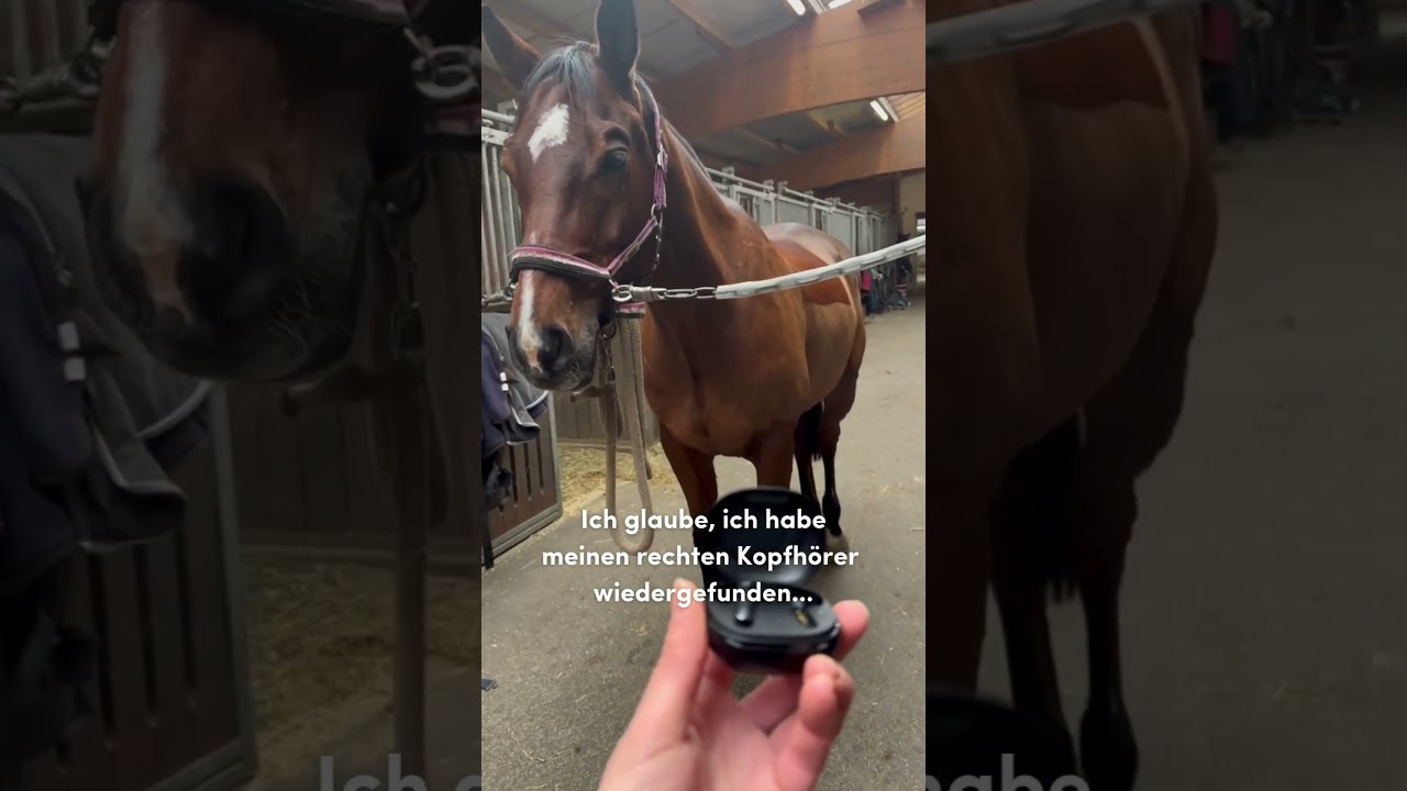 Beim Ausmisten dann einfach die Musik an... 😅