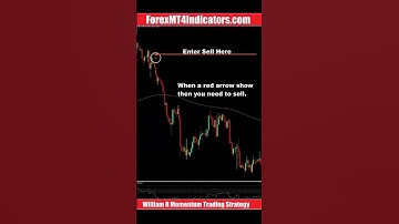 William %R Momentum Trading Strategy