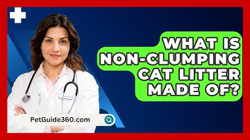 What Is Non-Clumping Cat Litter Made Of? - PetGuide360.com