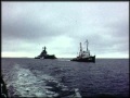 Battleship 1961 Celebration