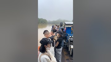 Ad qua phà đến rừng Nam Cát Tiên săn quay video flycam #drone #crocodile #nature  #namcattien