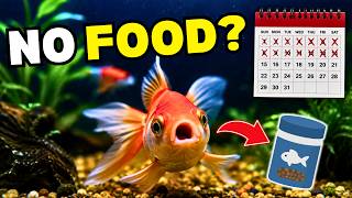 How Long Can Goldfish Go Without Food? (The Answer Surprises Most People)