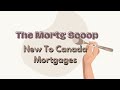 The Mortg Scoop: New to Canada Mortgages with Veen Shin