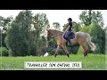 Conseil - TRAVAILLER SON CHEVAL SEUL 🏇