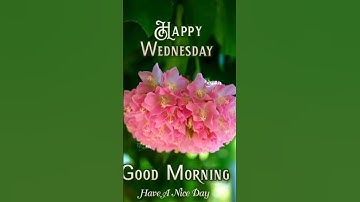 good Morning status ☕🌞🍀 Whatsapp status videos good morning shayari videos #whatsappstatus #shorts