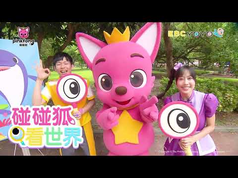 S23【YOYO點點名X碰碰狐】跟著海洋動物小海豚 🐬🐬 一起開開心心玩遊戲！｜YOYO家族｜Pinkfong｜鯊魚寶寶