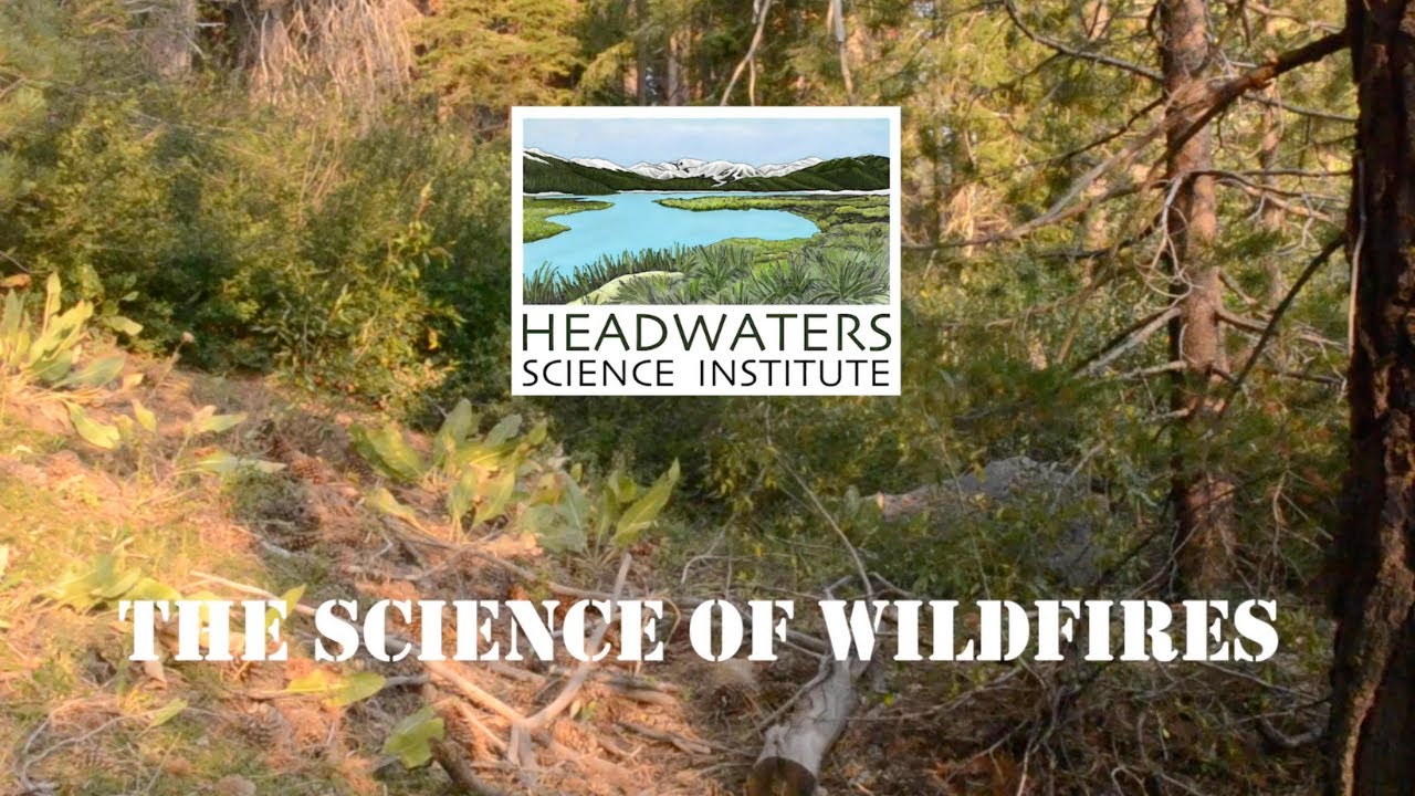 Learn All About Wildfire