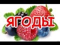 Учим СЛОВА. Ягоды. Развивающиий мультфильм для детей про ягоды.