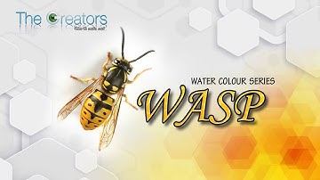 How to draw a realistic wasp
