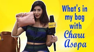 What's in my bag with Charu Asopa