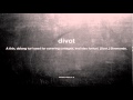 What does divot mean