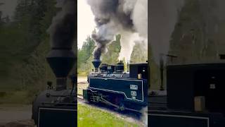 LAST steam train left in Europe 🫨🚂 #trainsound #history #steam #travel #train #viral #nostalgia