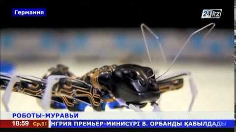 Немецкие инженеры создали роботов-муравьев
