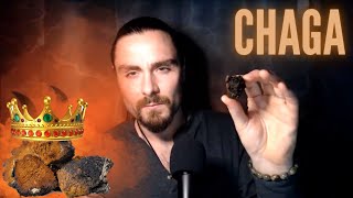 CHAGA MUSHROOM IS KING 👑 How To Brew It & Why I Consume It.