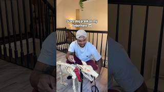 Halloween Content All Month