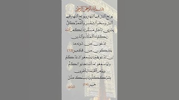 ما تيسر من سورة فاطر| يُولِجُ ٱلَّيۡلَ فِي ٱلنَّهَارِ وَيُولِجُ ٱلنَّهَارَ فِي ٱلَّيۡلِ| تلاوة خاشعة