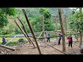 Completed Dismantling of Old Wooden House, Harvesting Plums for Rice | Farmer