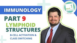 USMLE STEP 1 | Immunology | Lymphoid Structures | Pt 9