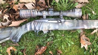 Paint/repaint Ruger 10/22. Easy DIY!!  With volume on.