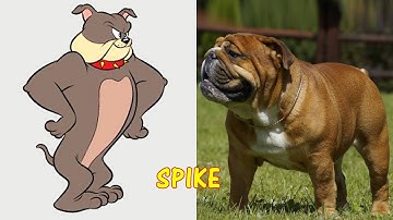 Tom and Jerry Cartoon Characters in Real Life || Newest