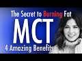 4 Amazing Facts About MCT