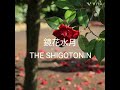 鏡花水月/THE SHIGOTONIN