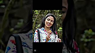 Kuura & Pila Funny Moment