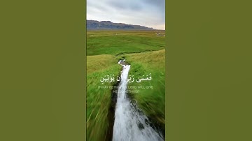 قرآن كريم ارح سمعك بلقرآن اللهم اجعل القرآن الكريم ربيع قلوبنا ستوريات دينيه