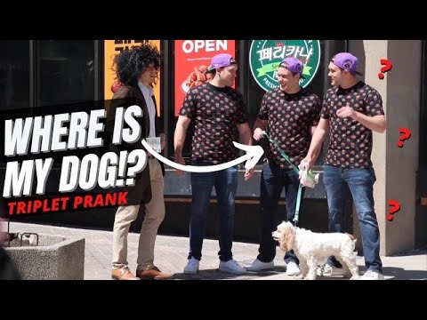 Where Is My Dog Triplet Deja Vu Prank