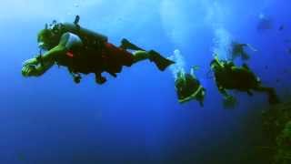 Download Lagu Vincenzo - Just Like Heaven (feat. Minako) (Underwater Music Video) MP3 Download Lagu Vincenzo - Just Like Heaven (feat. Minako) (Underwater Music Video) MP3
