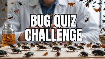 The Ultimate Bug Quiz: 10 General Knowledge Questions To Challenge Your Insect Knowledge!
