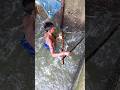 মাজা পানিতে মাছ ধরার দারুন পদ্ধতি।#tending #river #riverfishing #villagefishing #reels