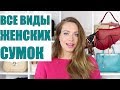 Какие бывают сумки? ВСЕ ВИДЫ женских СУМОК. Названия и классификация