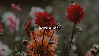 Download Lagu Wildflower - Billie Eilish (Versión en español) MP3 Download Lagu Wildflower - Billie Eilish (Versión en español) MP3