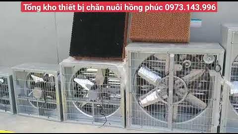 quạt hút công nghiệp. tấm làm mát. máng ăn cho heo giá tận gốc