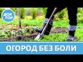 Как работать на даче без вреда для спины?