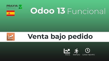 Tutorial Odoo 13 Funcional - Venta bajo pedido Servicios y Bienes