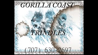 Gorilla Coast Trindles Rkelly & Ghost