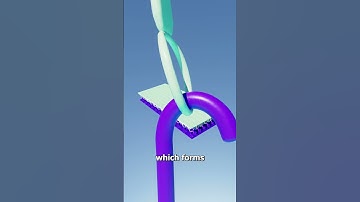 How Velcro Works 🤨