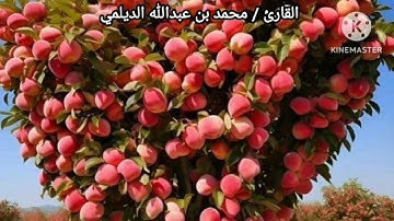 تلاوة من آخر سورة السجدة/ بصوت القارئ # محمد بن عبدالله الديلمي ٤/ ٢ / ١٤٤٥ _ ٢٠/ ٨ / ٢٠٢٣